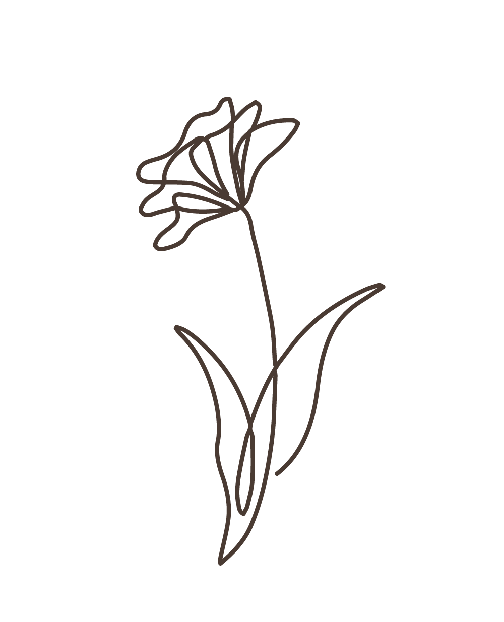 fleur noir dessiner en un trait